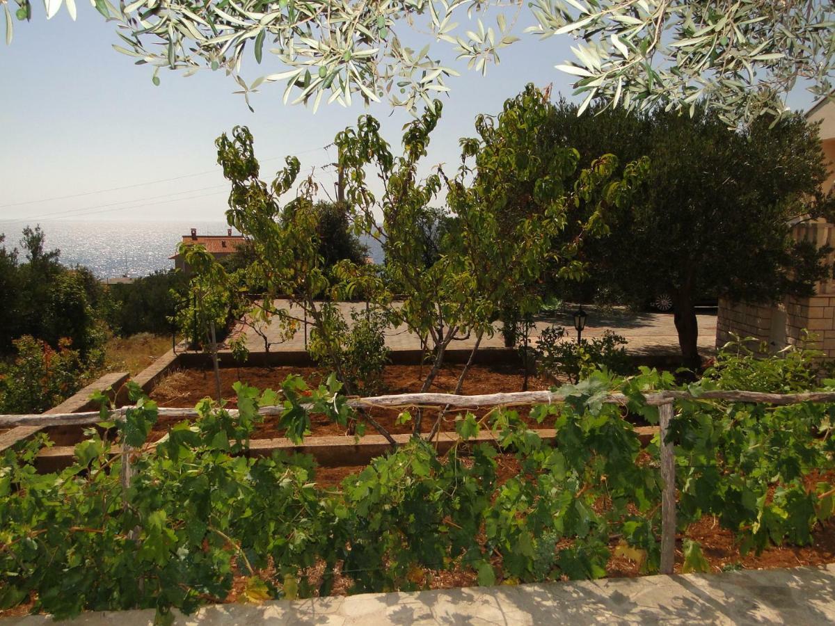 דירות Dolac Zele מראה חיצוני תמונה